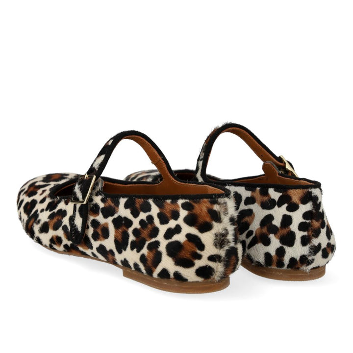 ANGULUS - 1704-101 - Leopard/Black