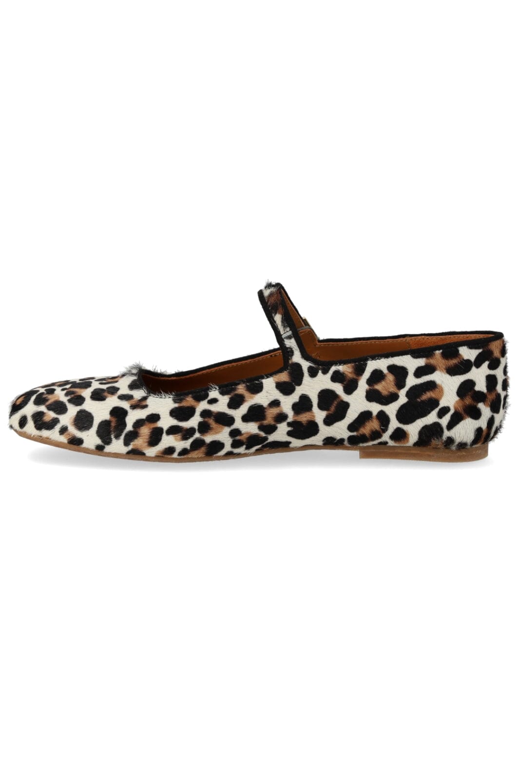 ANGULUS - 1704-101 - Leopard/Black