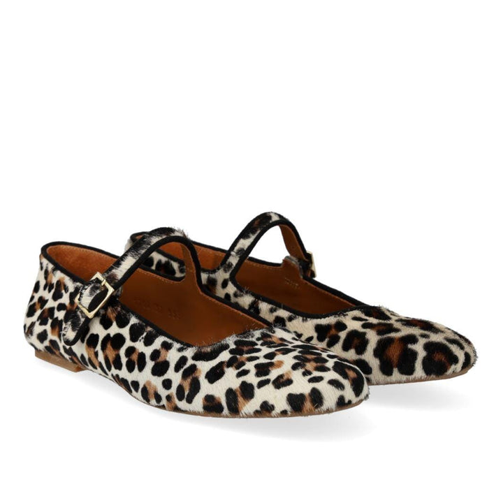 ANGULUS - 1704-101 - Leopard/Black