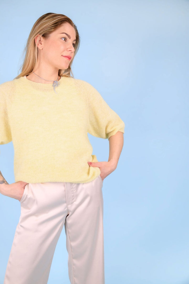 Forudbestilling - Black Colour - Bcdell Knit Jumper - Pastel Yellow Strikbluser 