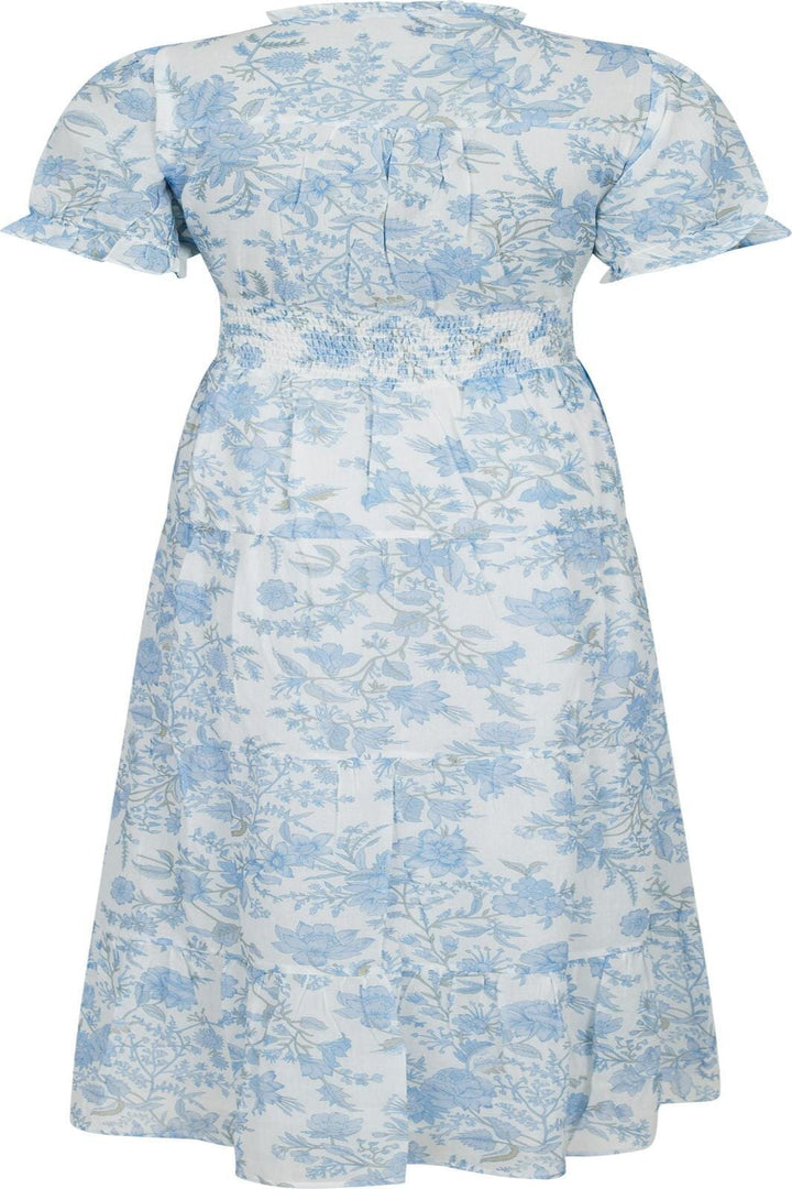 Neo Noir - Kanza Rose Field Dress - Light Blue