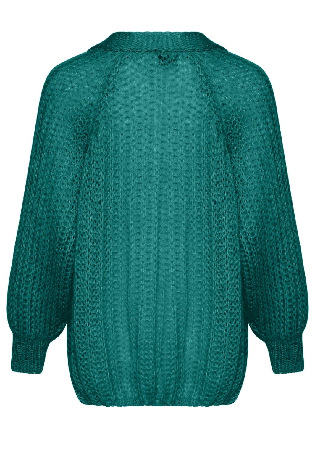 Noella - Joseph Cardigan Solid - 590 Mint Green Cardigans 