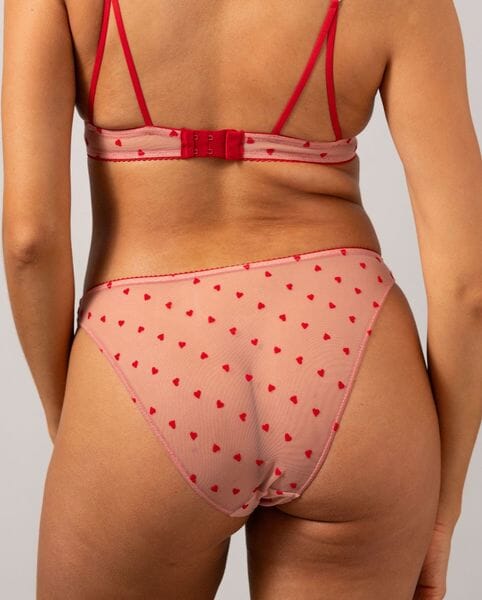 Understatement Underwear - Mesh Bikini Briefs - Pale Pink/Deep Red Underbukser 